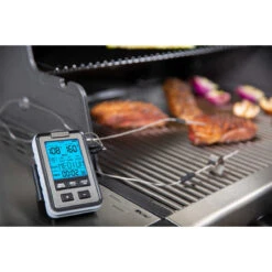 Broil King Seitenablagen Thermometer, 2 Fühler -GrillLust Verkaufsgeschäft broil king digitales grillthermometer d1eeb50477bdf7dd521151a6d1df407a