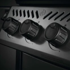 Neue Produkte -GrillLust Verkaufsgeschäft napoleon freestyle 365 3 hauptbrenner mit seitenbrenner graphit a2e89d262a6687c2d8df6d458cd08519