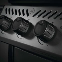 Napoleon Freestyle 425, 4 Hauptbrenner, Mit Sizzle Zone Seitenbrenner, Graphit -GrillLust Verkaufsgeschäft napoleon freestyle 425 4 hauptbrenner mit sizzle zone seitenbrenner graphit 20c7cb3c006a738a4d7762835f80460a