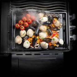 Napoleon Plancha Für Rogue 425 & 525