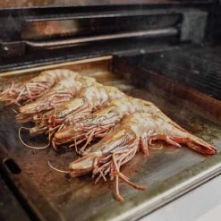 SANTOS Plancha, Einsatzpfanne Für SANTOS E-518, Eden, Cairns Und Hollywood -GrillLust Verkaufsgeschäft santos einsatzpfanne fuer eden 3c7aa4469df77a84f4b7dfe623131778