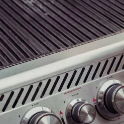 SANTOS Grillreiniger & Backofenreiniger 500 Ml -GrillLust Verkaufsgeschäft santos grill und backofenreiniger 500 ml e5d9080d6efa9c1a3a8c3a05866e2538